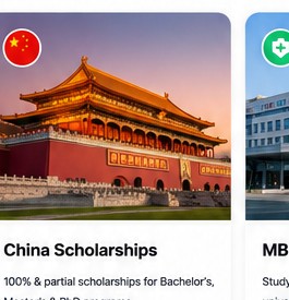 Chinese Government Scholarship
